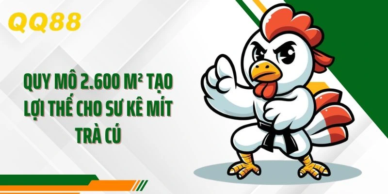 Quy mô 2.600 m² tạo lợi thế cho sư kê Mít Trà Cú