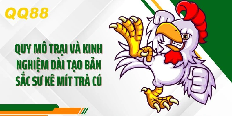 Quy mô trại và kinh nghiệm dài tạo bản sắc sư kê Mít Trà Cú